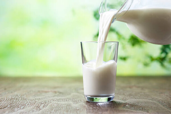 Milk - Image 2